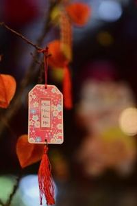 sâm lốc di động QH88